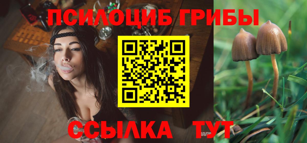 Псилоцибиновые грибы MAGIC MUSHROOMS Нижневартовск